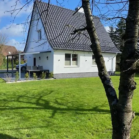 Damian קושהאבן